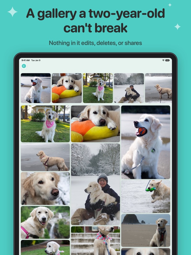 A gallery a two-year-old can't break: a grid of family photos with nothing to edit, delete, or share.